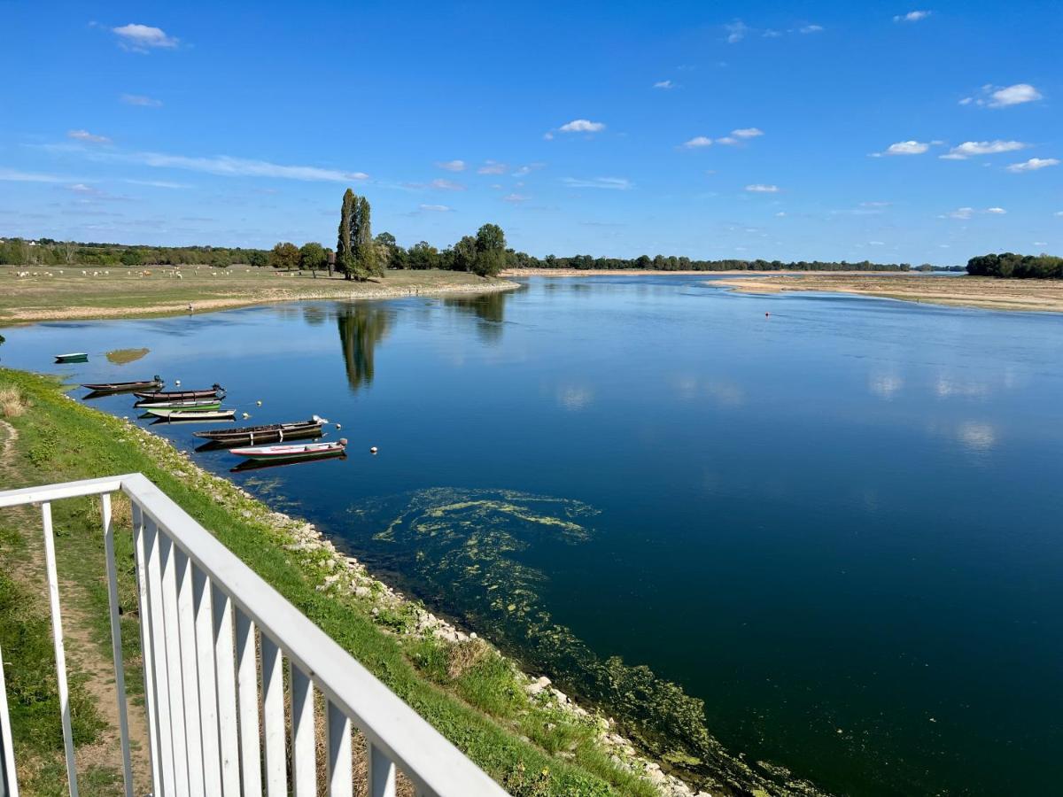 Gite Loirizon Vue Loire 4 Personnes Ingrandes  Exterior photo